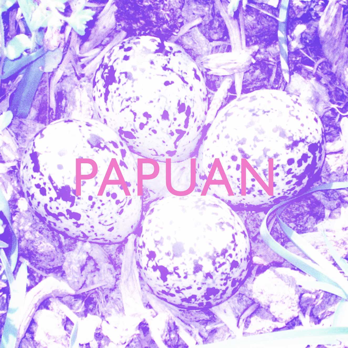 Papuan